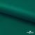 Ткань подкладочная Таффета, 19-5420, 53 г/м2, антистатик, шир. 150 см, вечнозеленый - купить в Муроме. Цена 57.16 руб.