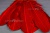 Декоративный Пучок из перьев, перо 23см/красный - купить в Муроме. Цена: 11.16 руб.