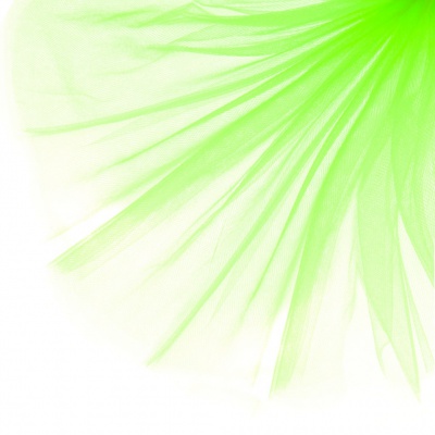 Фатин матовый 16-142, 12 гр/м2, шир.300см, цвет неон.зелёный - купить в Муроме. Цена 101.95 руб.