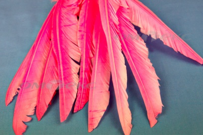 Декоративный Пучок из перьев, перо 25см/розовый - купить в Муроме. Цена: 14.40 руб.