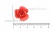 Украшение "Розы малые №1" 20мм - купить в Муроме. Цена: 32.82 руб.