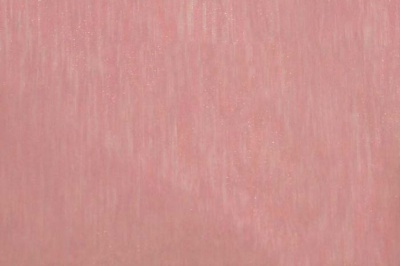 Органза однотонная "Амелия" С19 (Розовый) 280 см - купить в Муроме. Цена 303.09 руб.