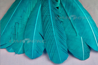 Декоративный Пучок из перьев, перо 24см/голубой - купить в Муроме. Цена: 12.19 руб.