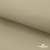 Ткань подкладочная TWILL 230T 14-1108, беж светлый 100% полиэстер,66 г/м2, шир.150 cм - купить в Муроме. Цена 90.59 руб.