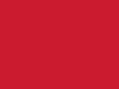 Сетка подкладочная красный, 60г/м2 (10 м/кг) - купить в Муроме. Цена 885.73 руб.