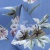 Плательная ткань "Фламенко" 12.1, 80 гр/м2, шир.150 см, принт растительный - купить в Муроме. Цена 241.49 руб.