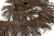 008-коричневый, Бахрома арт.001 шир.10см (упак.12+/-0,5м) - купить в Муроме. Цена: 1 017.33 руб.