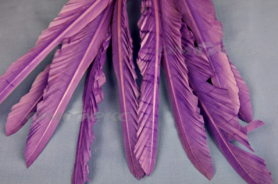 Декоративный Пучок из перьев, перо 25см/фиолетовый - купить в Муроме. Цена: 12.19 руб.