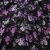 Плательная ткань "Фламенко" 20.1, 80 гр/м2, шир.150 см, принт растительный - купить в Муроме. Цена 241.49 руб.