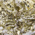 Трикотажное полотно, Сетка с пайетками, шир.130 см, #315, цв.-белый/золото - купить в Муроме. Цена 693.39 руб.