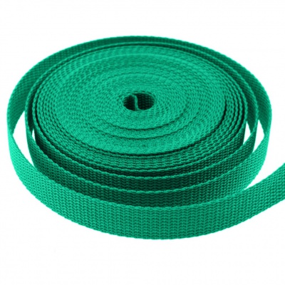 Стропа текстильная, шир. 25 мм (в нам. 50+/-1 ярд), цвет яр.зелёный - купить в Муроме. Цена: 397.52 руб.